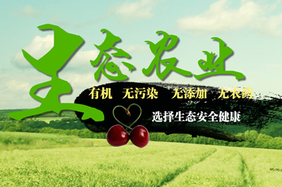 鑫東生態農業
